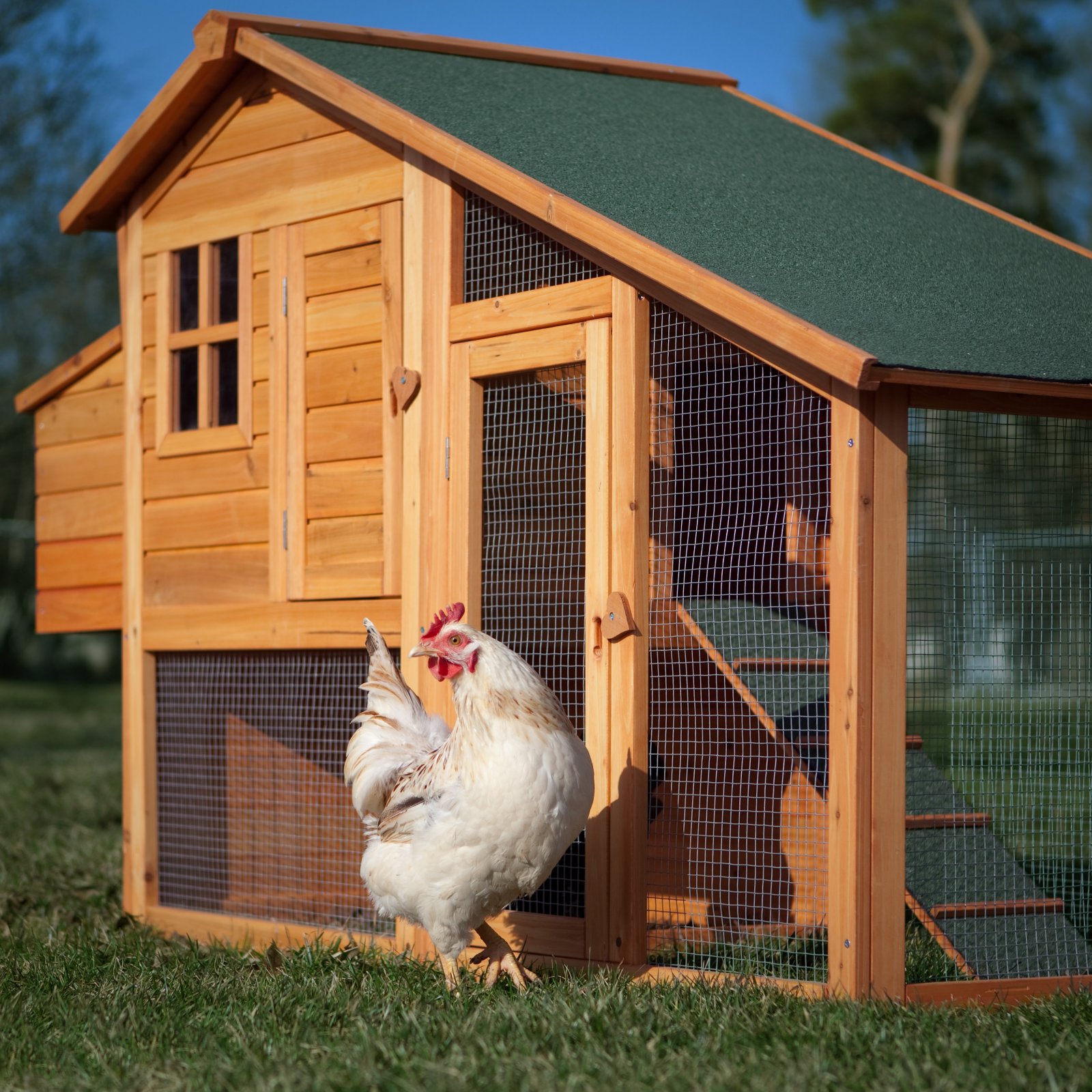 Get chicken house los feliz