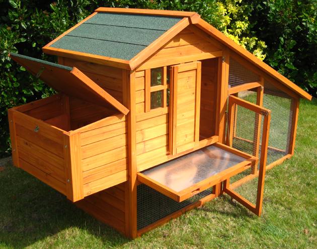 ... Chicken Poultry Design and Build Poultry House » chicken coop to